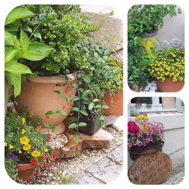 La Maison Des Fleurs Scrignac Bagian luar foto
